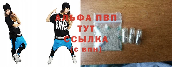 спайс Корсаков