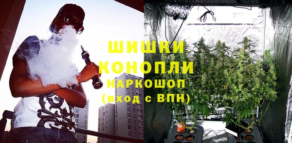 спайс Корсаков