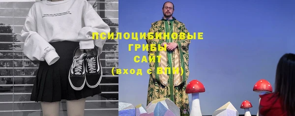 бошки Коряжма