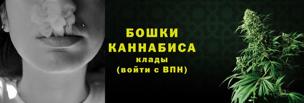 спайс Корсаков