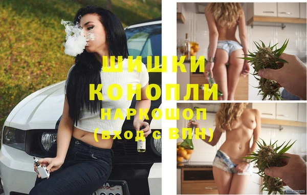 бошки Коряжма