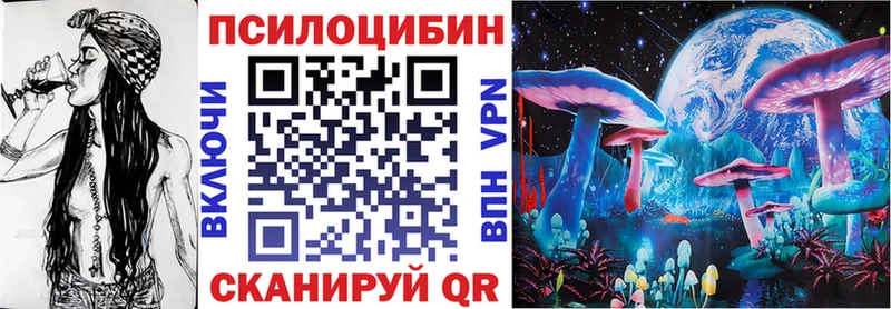 Псилоцибиновые грибы Psilocybe  Купить  Хасавюрт